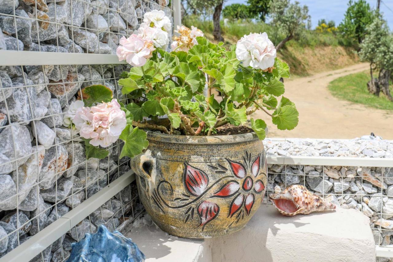 Apartment Casa Rozana - Skiathos Town